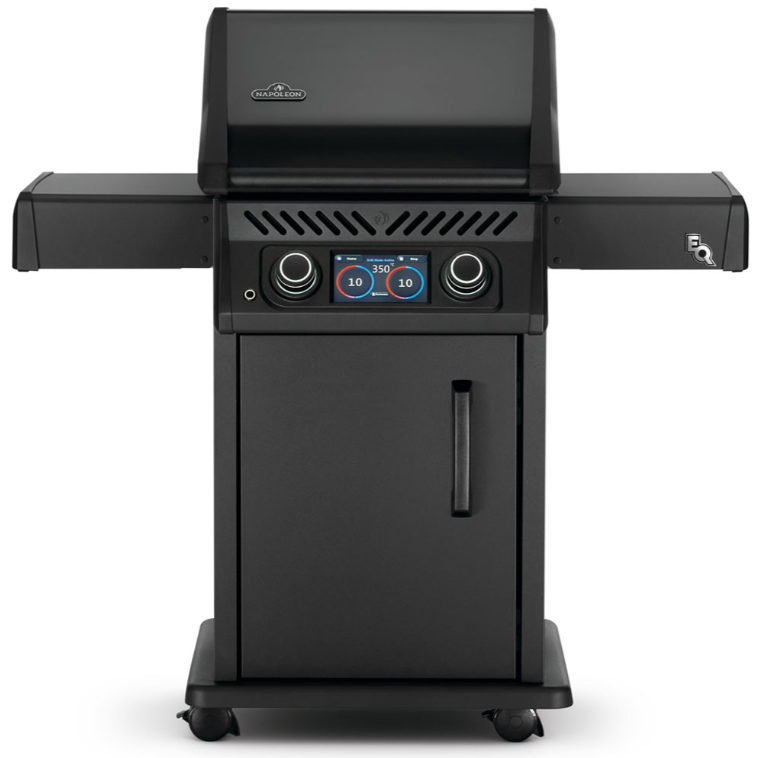 Rogue EQ 365 Electric - Image 1