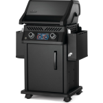 Rogue EQ 365 Electric - Image 3