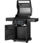 Rogue EQ 365 Electric - Image 4
